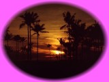 Sunset, Hawaiian Style